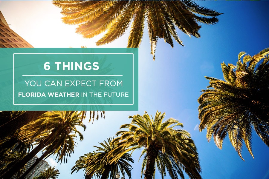 6 Things You Can Expect From Florida Weather In The Future