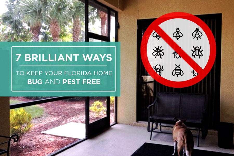 7-Brilliant-Ways-To-Keep-Your-Florida-Home-Bug-And-Pest-Free