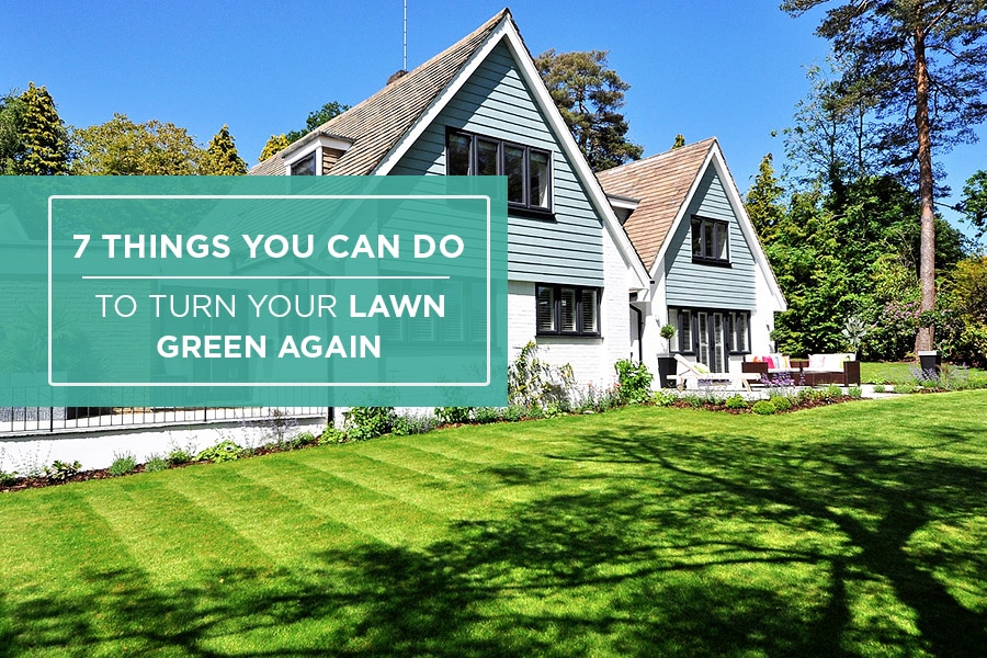 7 Things You Can Do To Turn Your Lawn Green Again